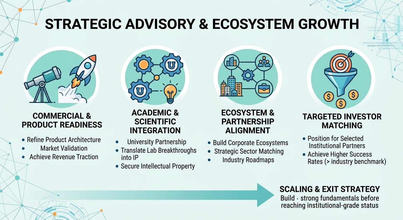 Strategic Advisory Beyond Traditional Venture Capital for Scale-Ups and Research Spin-Outs Uzbekistan